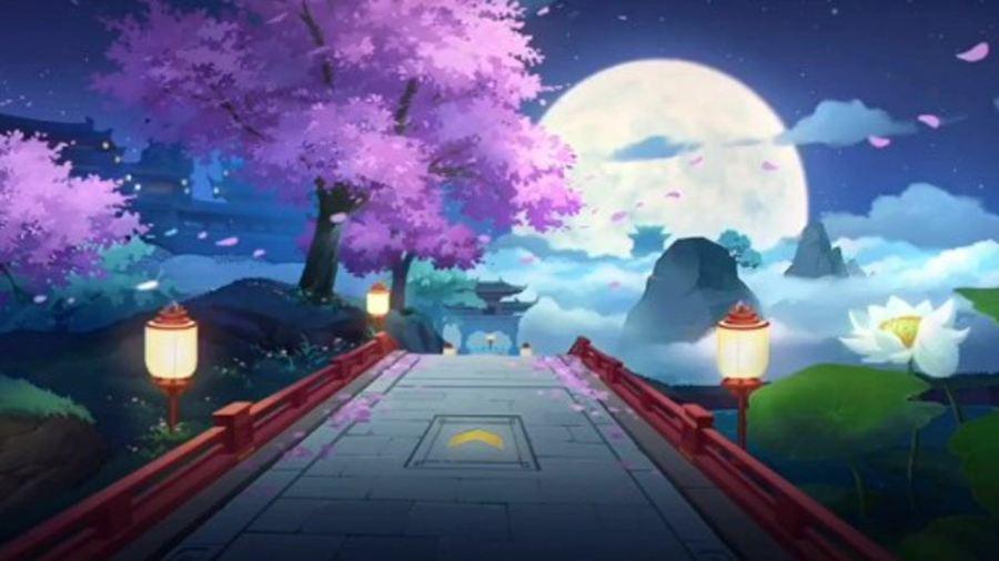 寻找沙漠珍宝
